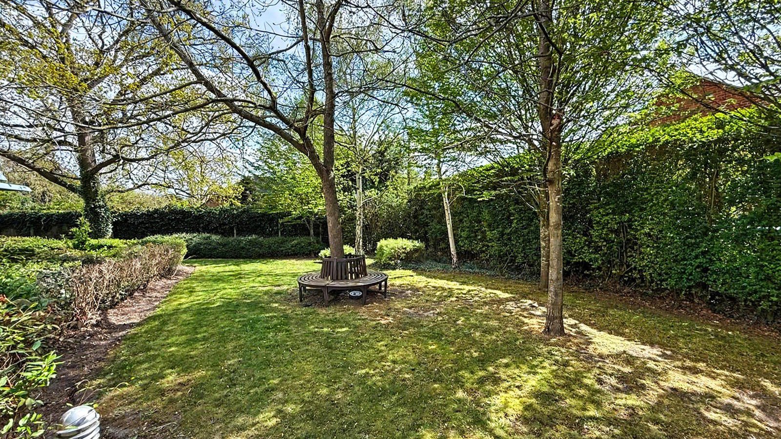 Picture No. 39.jpg Picture No. 39