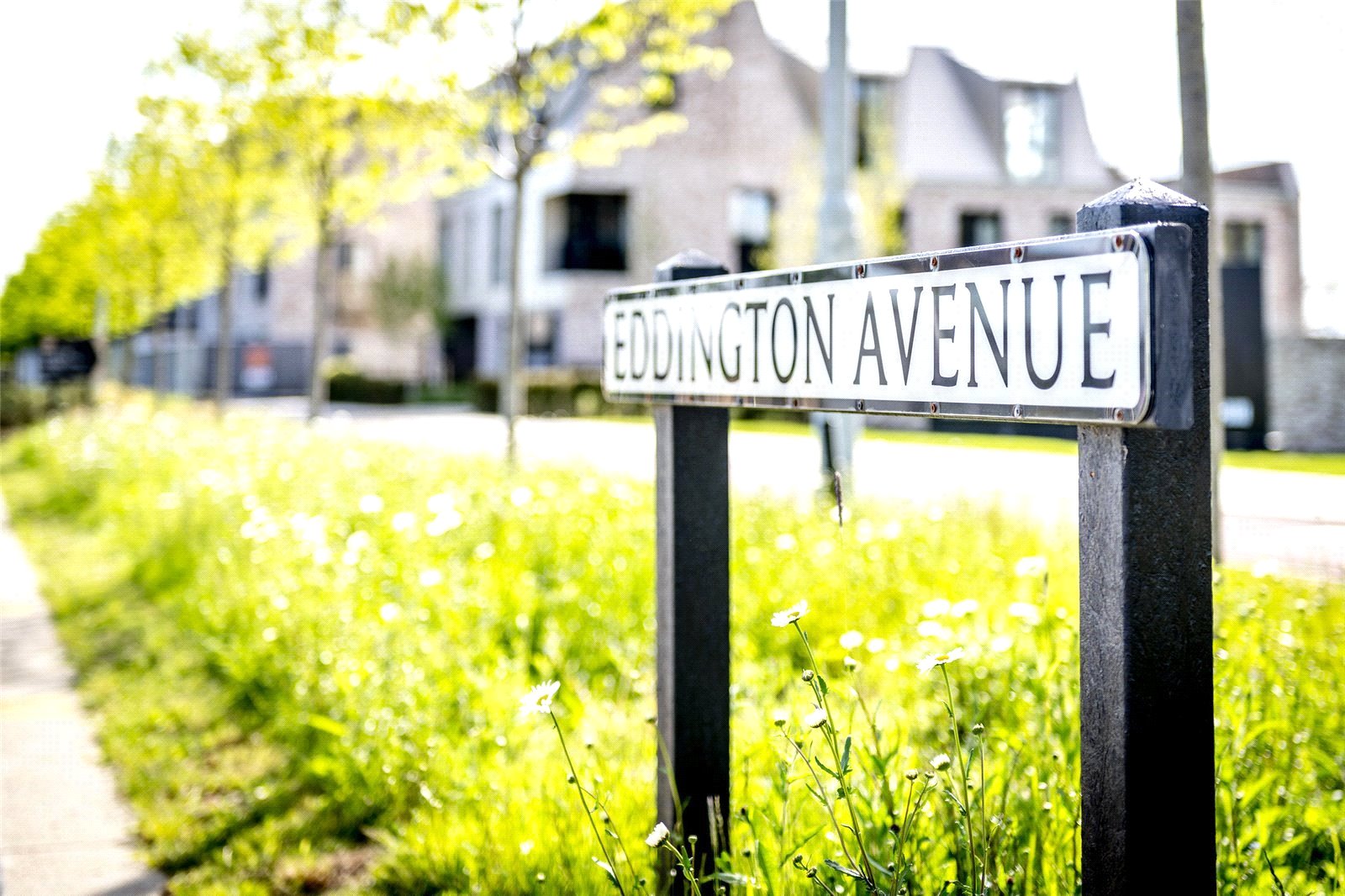 Eddington1.jpg
