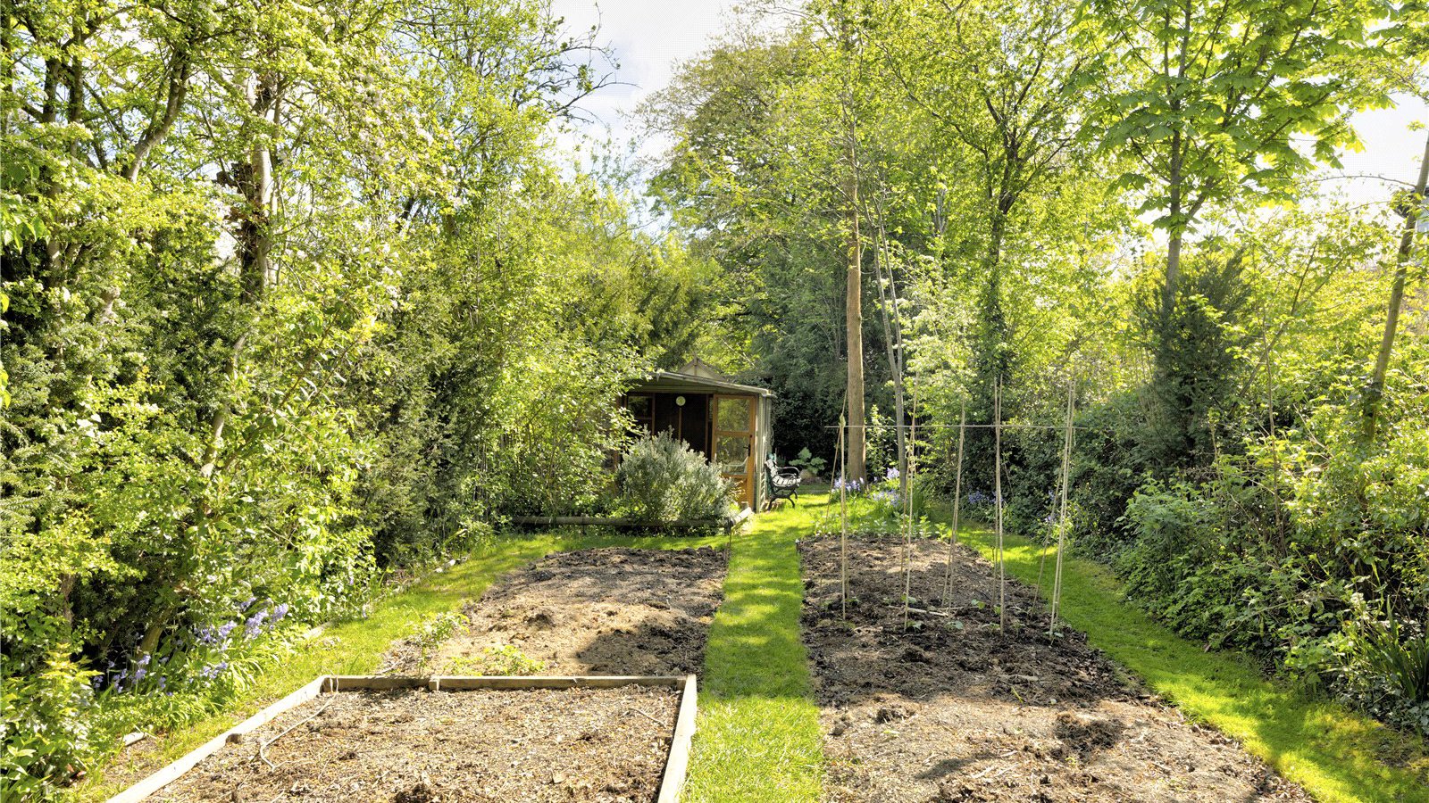 Picture No. 44.jpg Picture No. 44