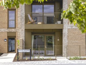 Milne Avenue, Eddington picture 1