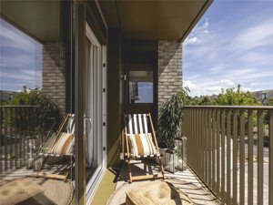 Milne Avenue, Eddington picture 6