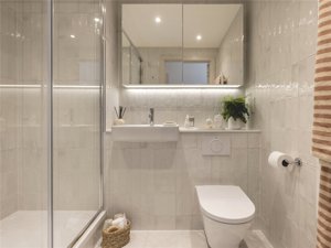 Milne Avenue, Eddington picture 6