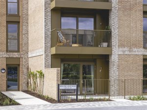 Milne Avenue, Eddington picture 1
