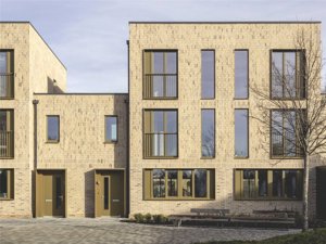 Milne Avenue, Eddington picture 1