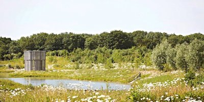 Picture No. 19.jpg