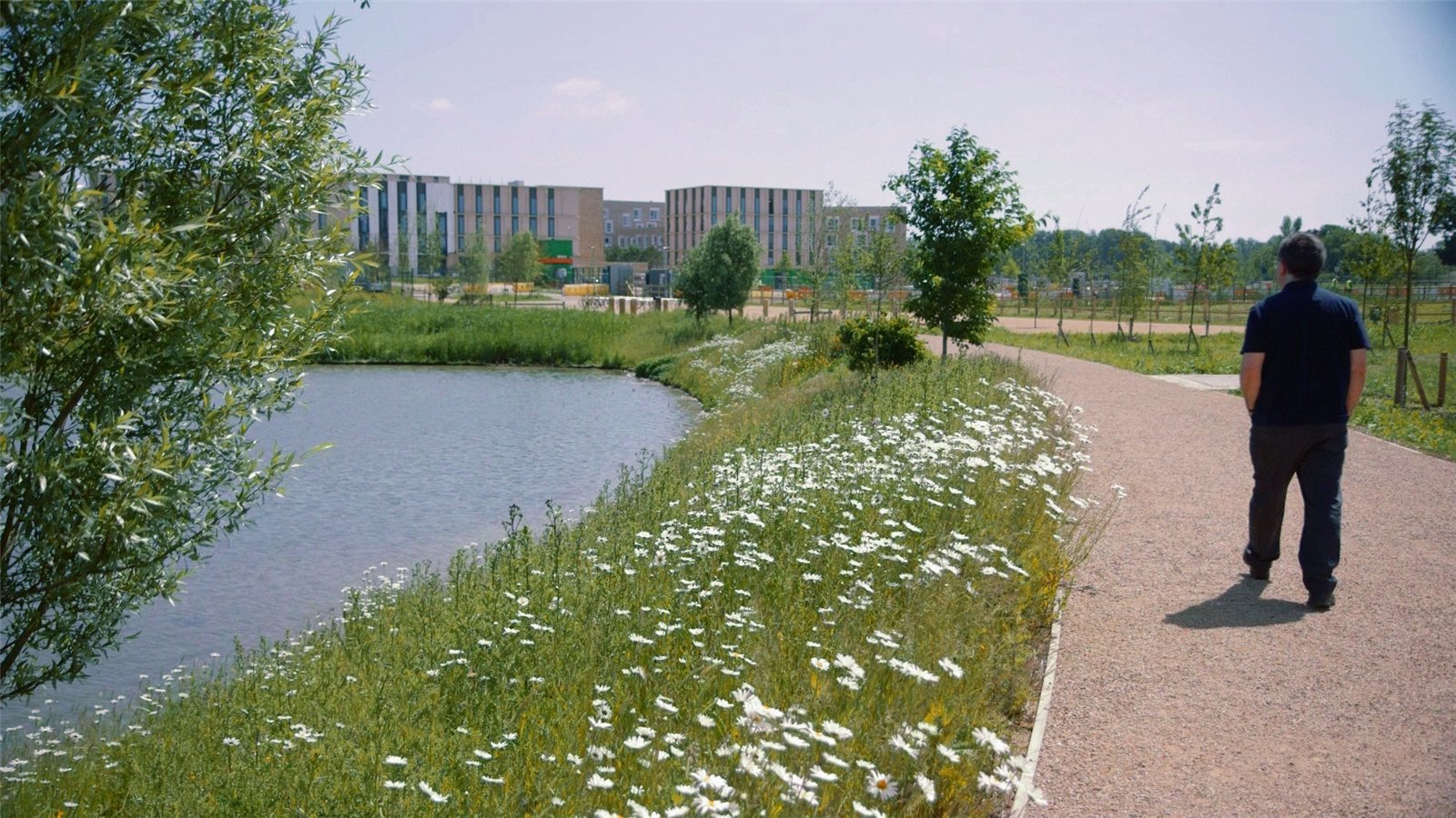 Picture No. 37.jpg Picture No. 37