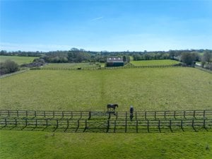 Land At Cross Green, Dullingham picture 4