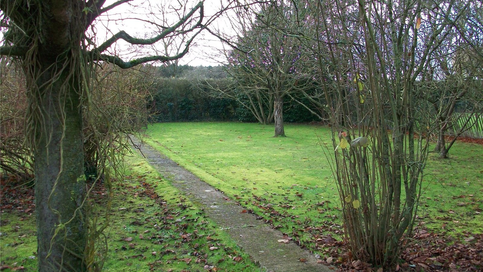 Picture No. 15.jpg Picture No. 15