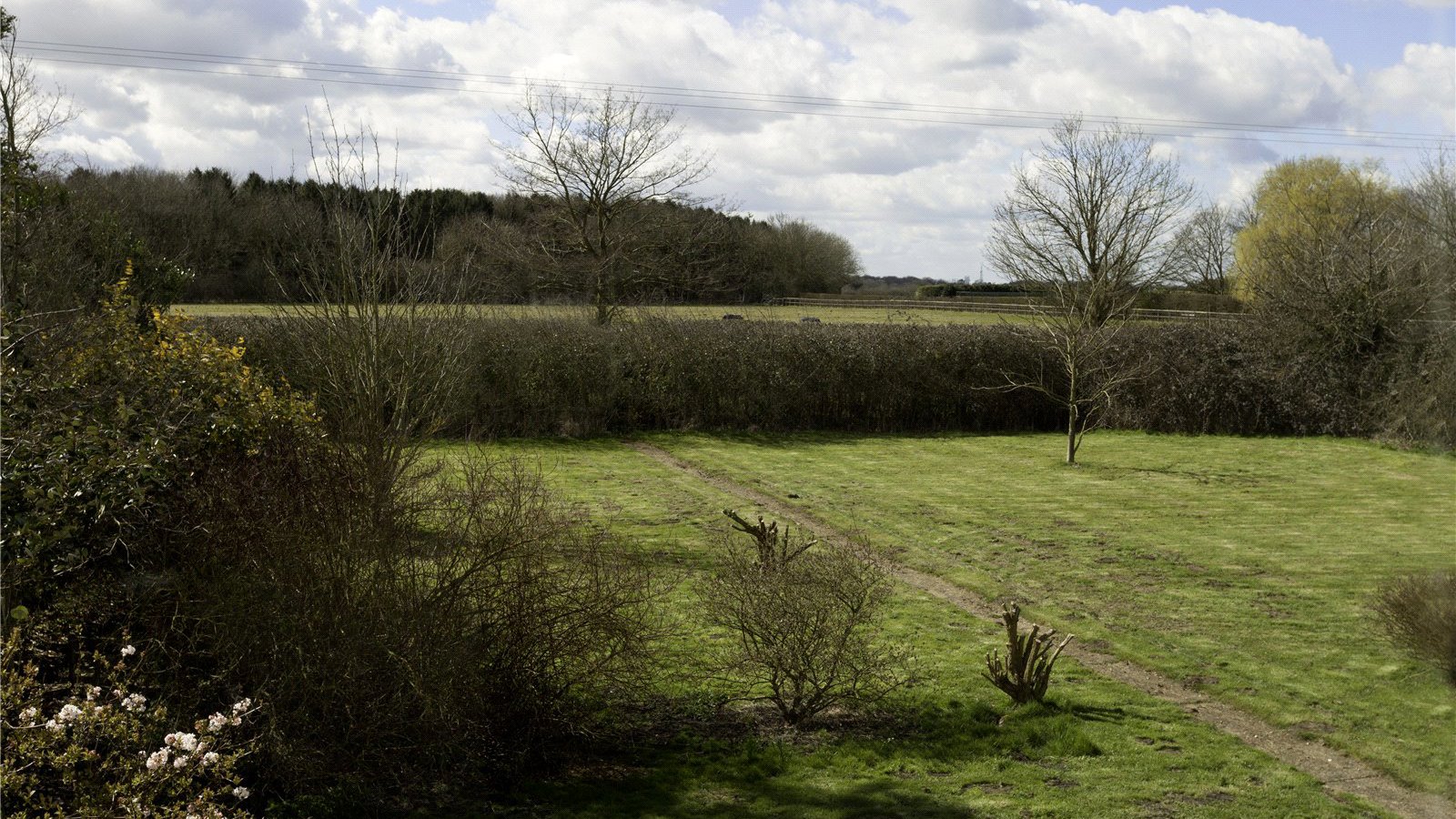 Picture No. 13.jpg Picture No. 13