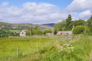 Glen Moy, Kirriemuir picture 1