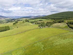 Glen Moy, Kirriemuir picture 3