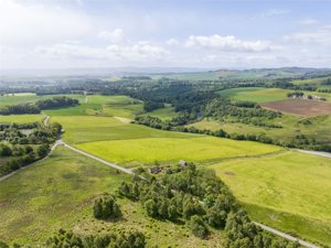 Glen Moy, Kirriemuir picture 4