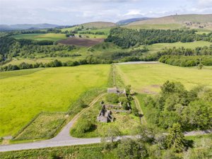 Glen Moy, Kirriemuir picture 5