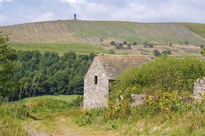 Picture 6