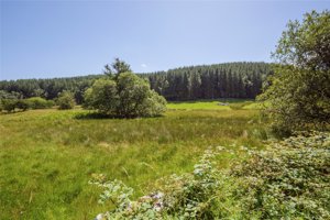 By Dunscore, Dumfries, DG2 0UU picture 4