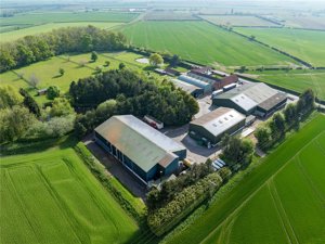 Cowsland & Lea Marsh Farms, Retford, Nottinghamshire picture 4