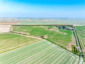 Cowsland Farmland, South Leverton picture 4