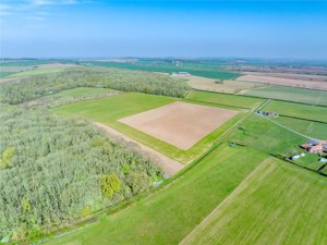 Forwood Farmland, Treswell picture 2
