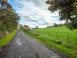 Sauchieburn, Stirling picture 5