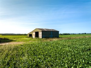 Great Tripps Barn, Shimpling Road picture 2