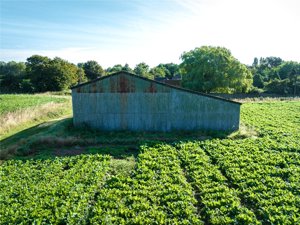 Great Tripps Barn, Shimpling Road picture 5