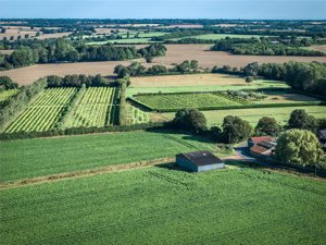 Great Tripps Barn, Shimpling Road picture 6