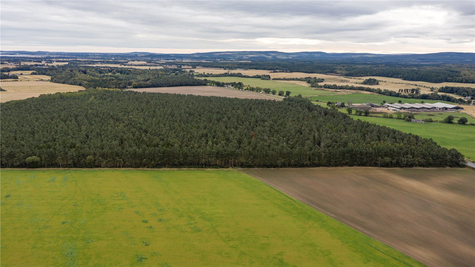 Hardmuir, Brodie picture 5
