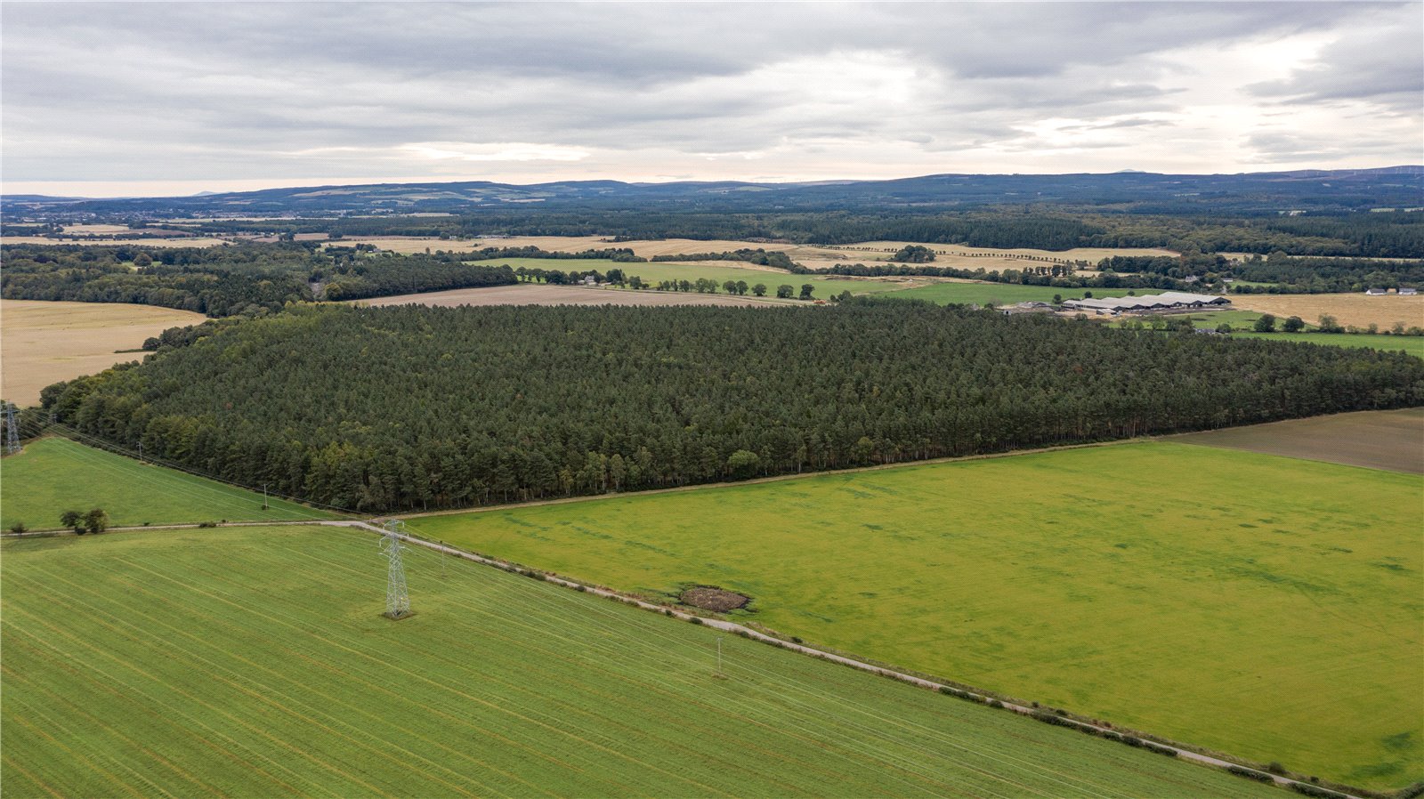 Hardmuir, Brodie picture 6