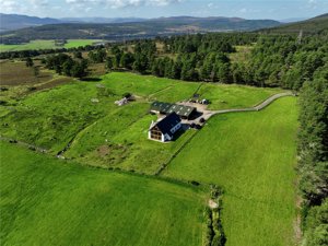 Murphy's Croft, Bonar Bridge picture 3