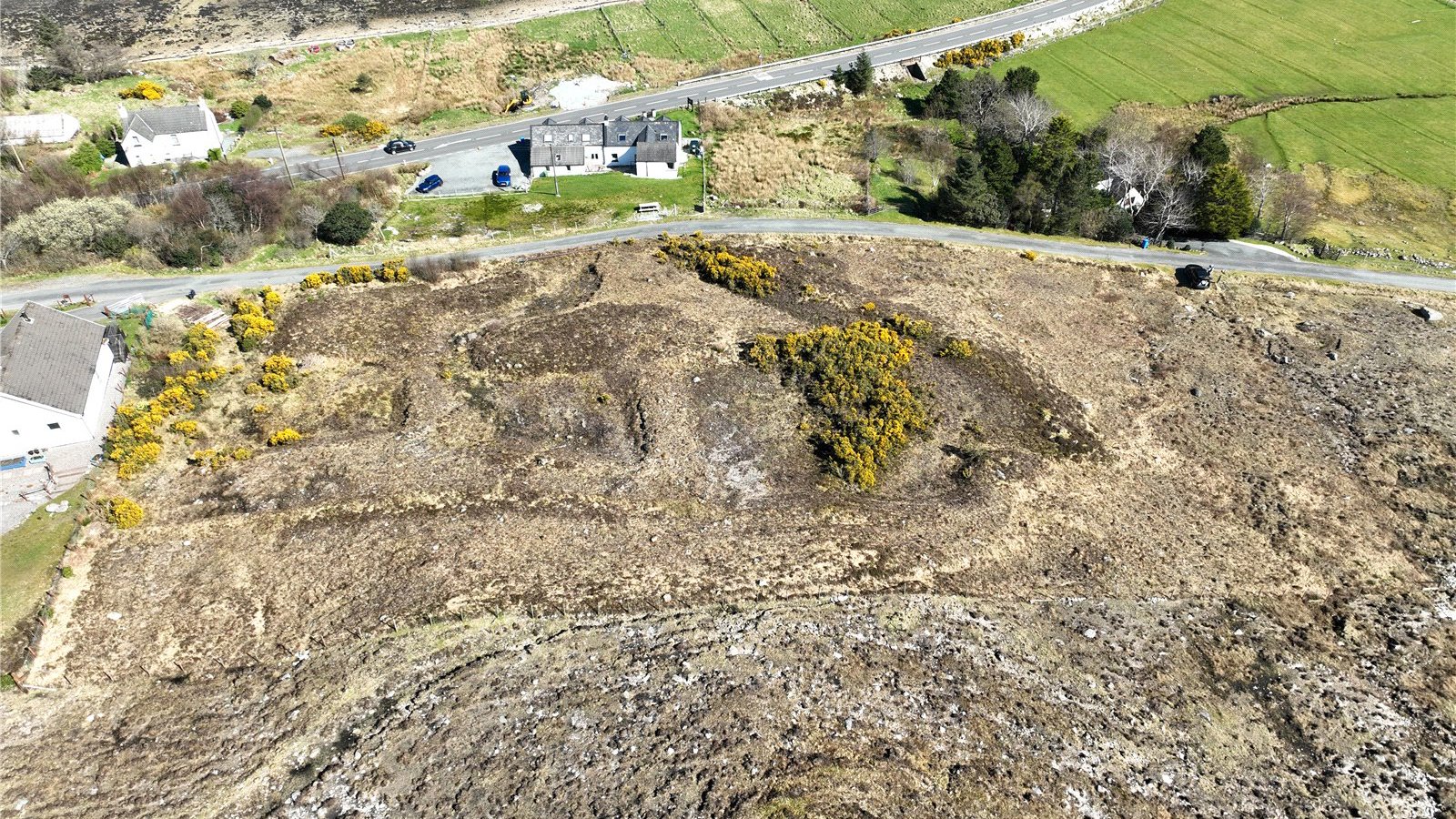 Picture 06.jpg Picture 06