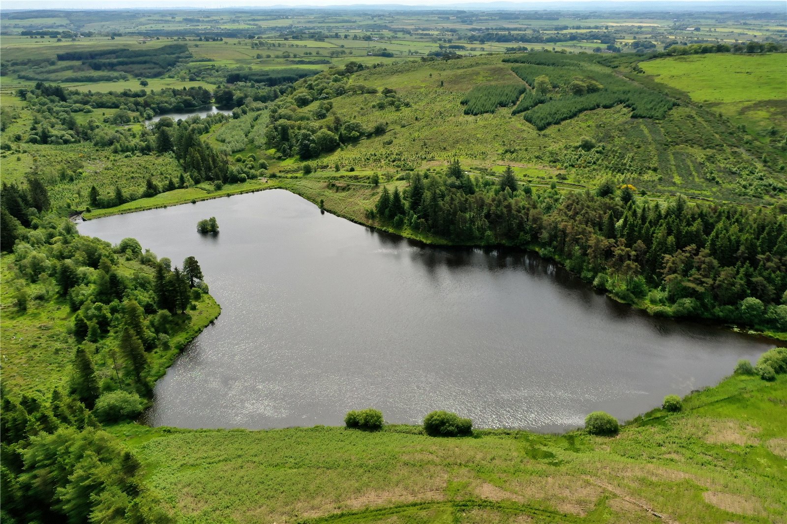 Kirkleegreen Reservoir and Land, Beith picture 1