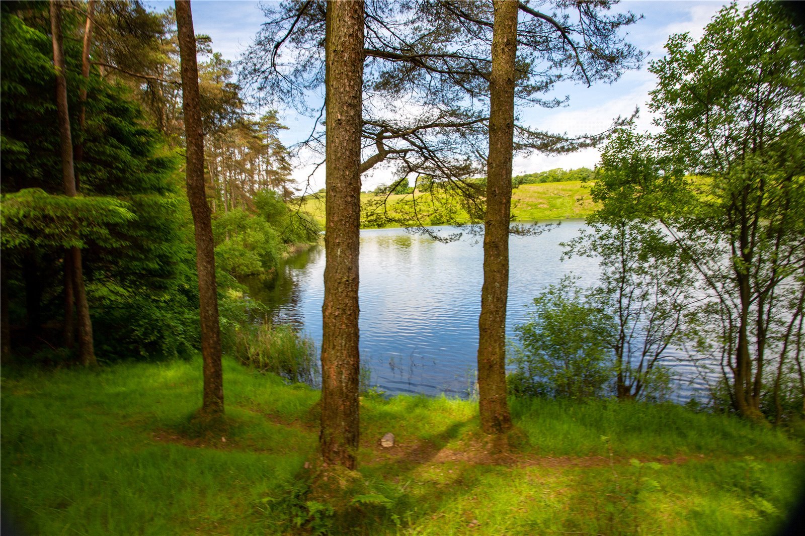 Kirkleegreen Reservoir and Land, Beith picture 6