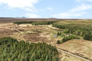 Altnabreac, Halkirk picture 1