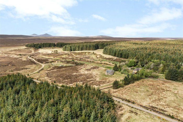 Drone Image