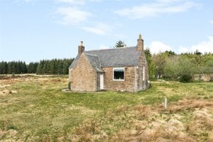 Altnabreac, Halkirk picture 2