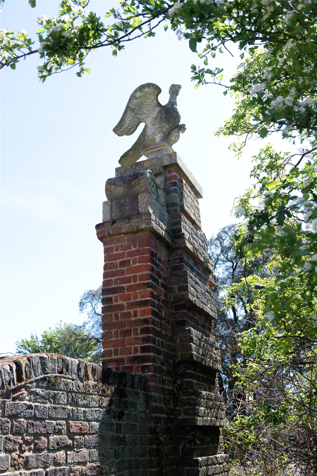 Picture No. 23.jpg