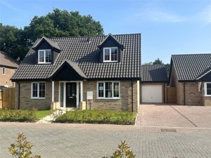 The Paddocks, Blofield Heath picture 1