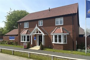 The Paddocks, Blofield Heath picture 2