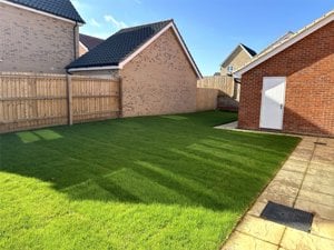 Swardeston picture 2