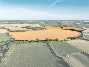 Land At Carleton Rode, Attleborough picture 1