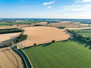 Land At Carleton Rode, Attleborough picture 2