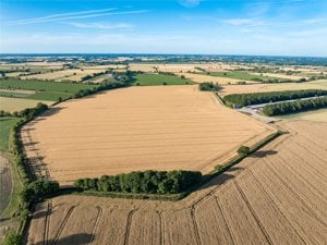 Land At Carleton Rode, Attleborough picture 3