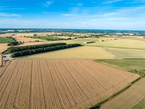 Land At Carleton Rode, Attleborough picture 5