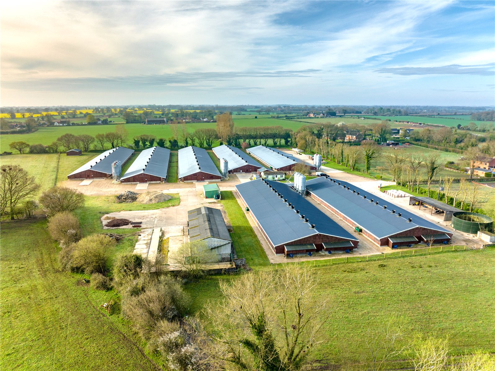 Doe Lane, Old Buckenham picture 6