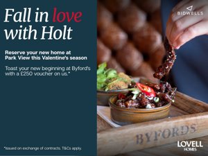 Holt, NR25 6EW picture 2