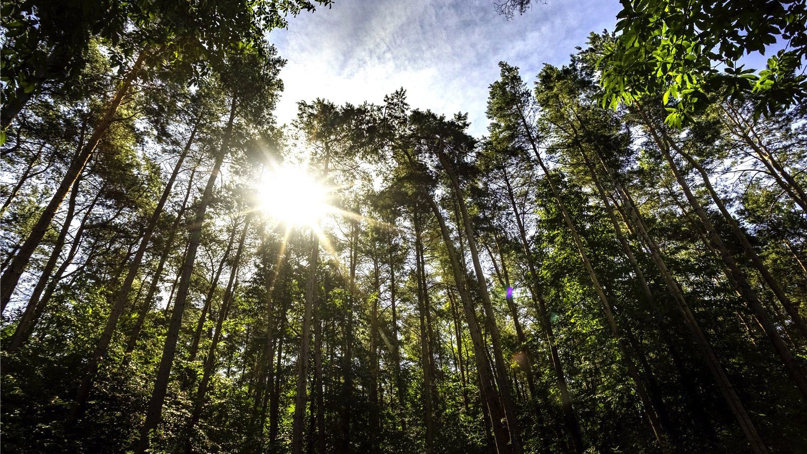 Picture No. 26.jpg Picture No. 24