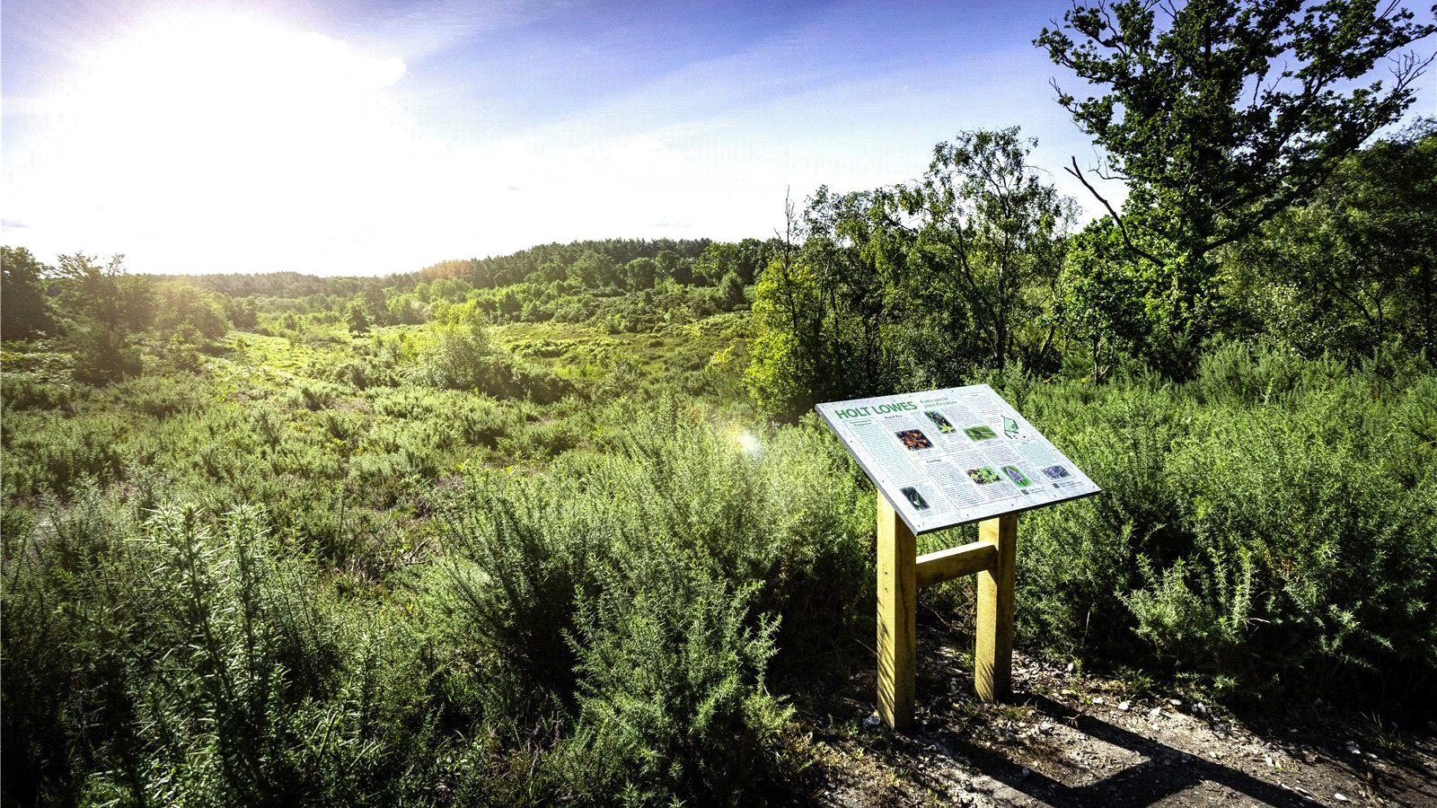 Picture No. 25.jpg Picture No. 25