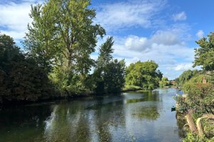 Norwich, NR7 0EF picture 5