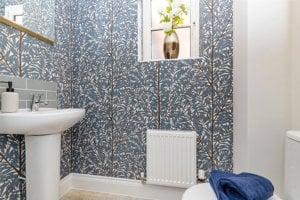 Norfolk, NR8 6DP picture 5