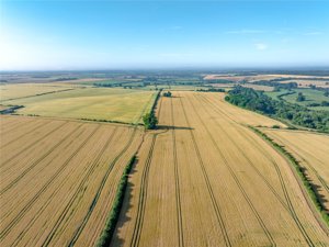 Manor Farm, Lower Heyford picture 1
